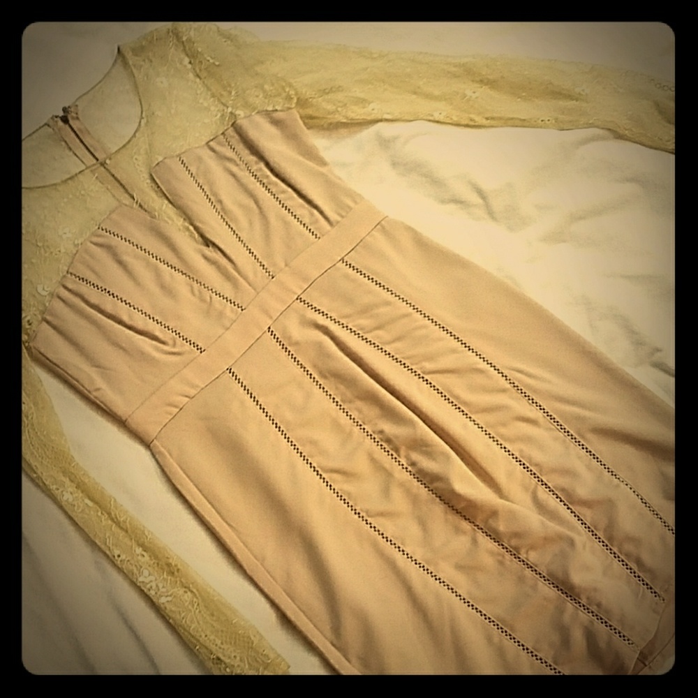 Long sleeve lace with plunge front dress